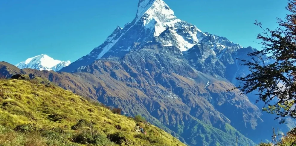 mardi himal