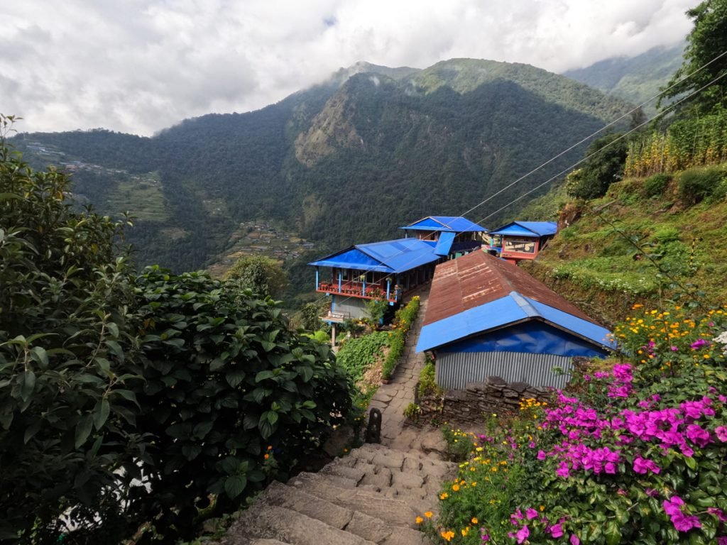 sinuwa