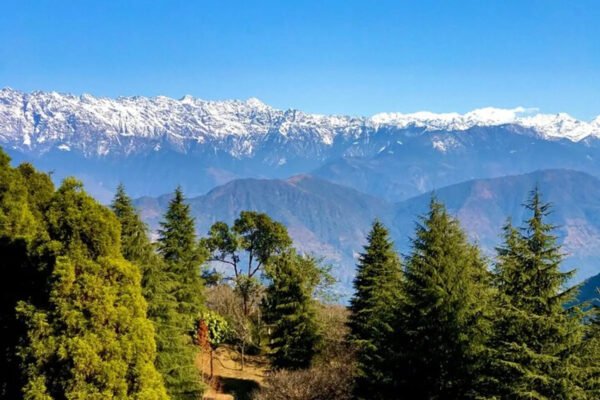 Shivapuri Peak Hike