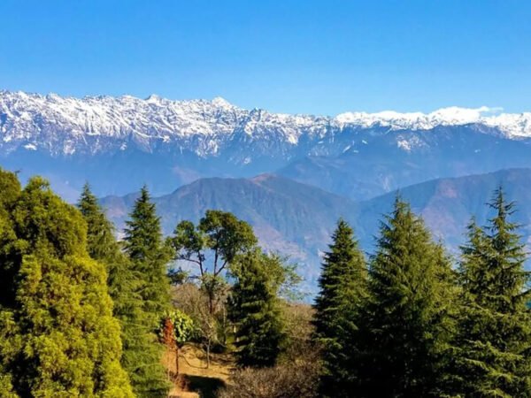 Shivapuri Peak Hike