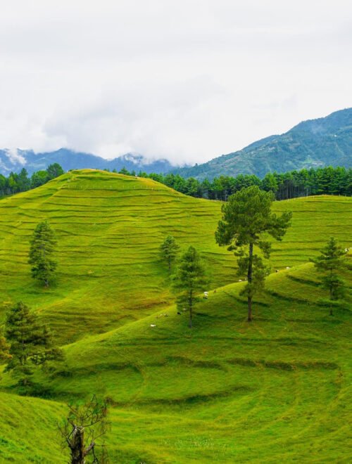 Chandragiri to Chitlang Hike