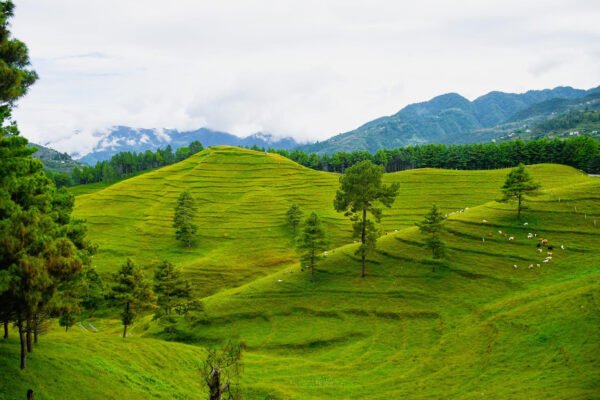Chandragiri to Chitlang Hike