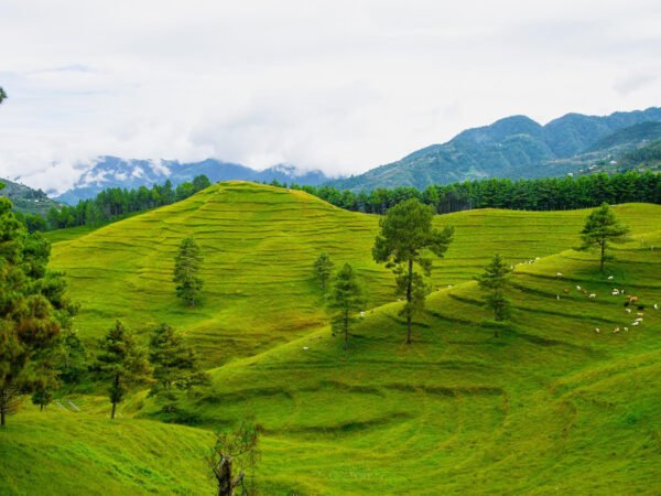 Chandragiri to Chitlang Hike