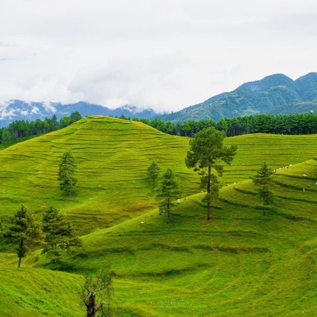 Chandragiri to Chitlang Hike