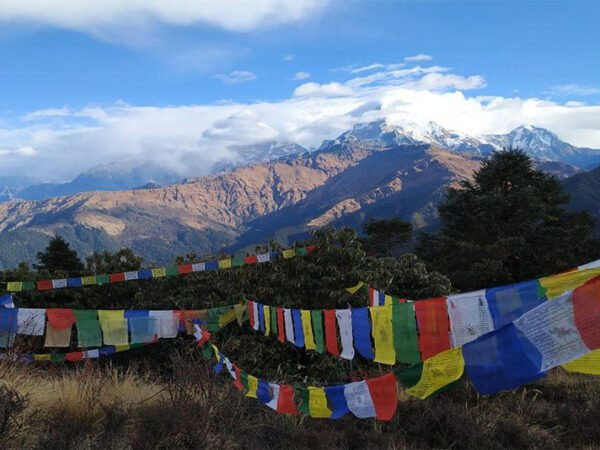 Phulchowki Hike